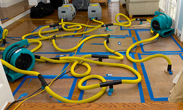 Professional Crawl Space Water Removal technician working in Lyndhurst, NJ